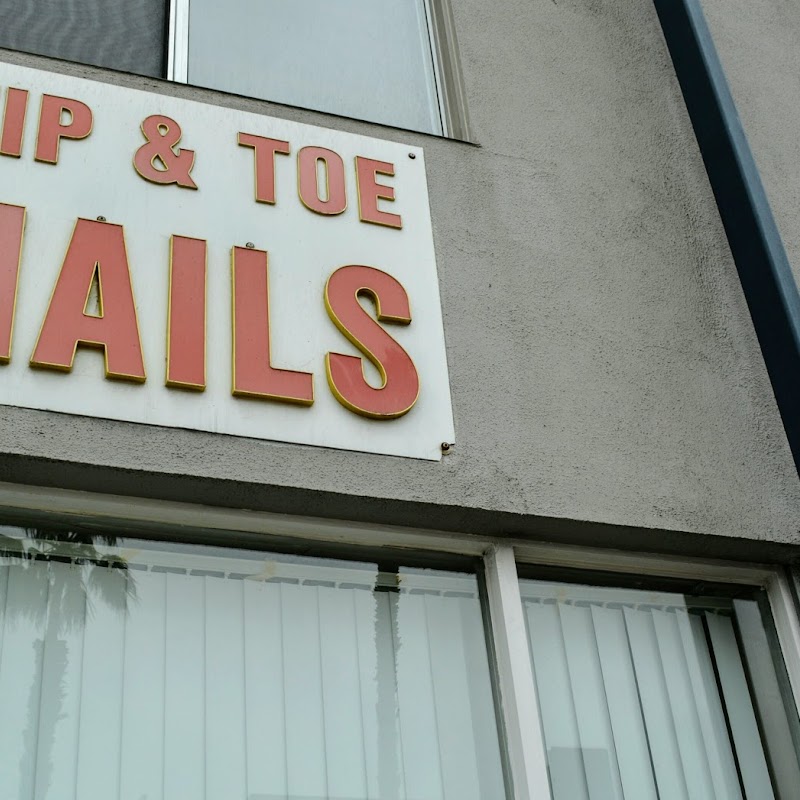 Tip & Toe Nails