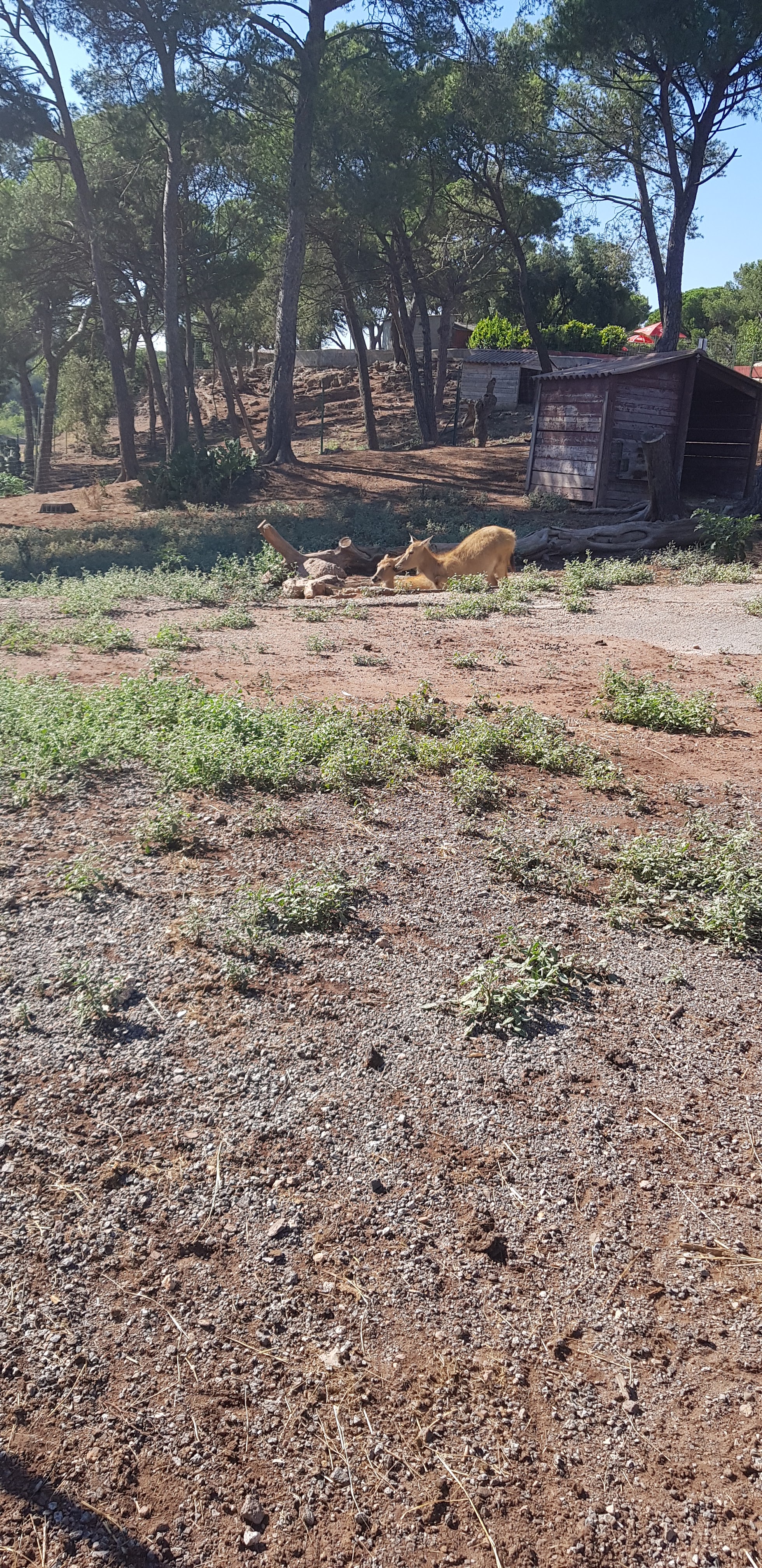 Photo n° 32 de l'avis de stephanie.a fait le 05/08/2018 à 15:29