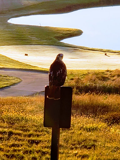 Golf Course «Tournament Club of Iowa», reviews and photos, 1000 Tradition Dr, Polk City, IA 50226, USA