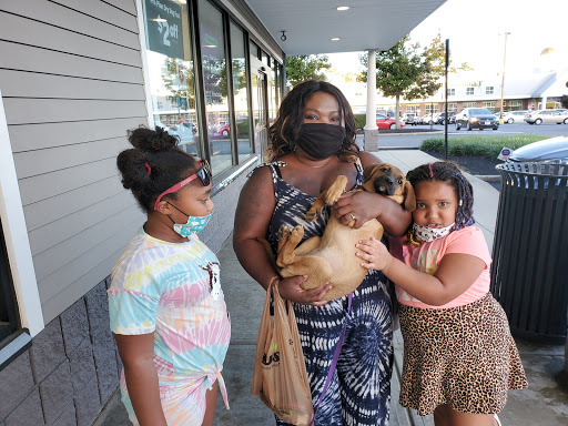 Pet Supply Store «Pet Supplies Plus», reviews and photos, 171 Sockanosset Cross Rd, Cranston, RI 02920, USA