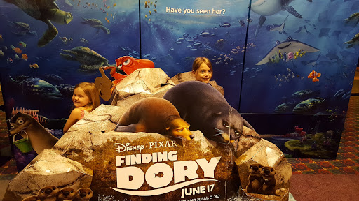 Movie Theater «AMC Concord Mills 24», reviews and photos, 8421 Concord Mills Boulevard, Concord, NC 28027, USA