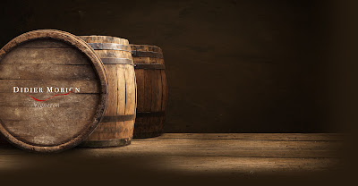 Domaine Didier Morion à Chavanay