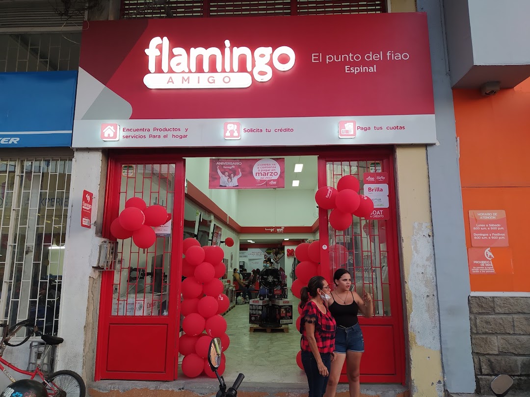 Flamingo Amigo Espinal