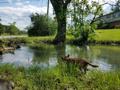 Golf Club «Virginian Golf Club», reviews and photos, 22512 Clubhouse Ridge, Bristol, VA 24202, USA
