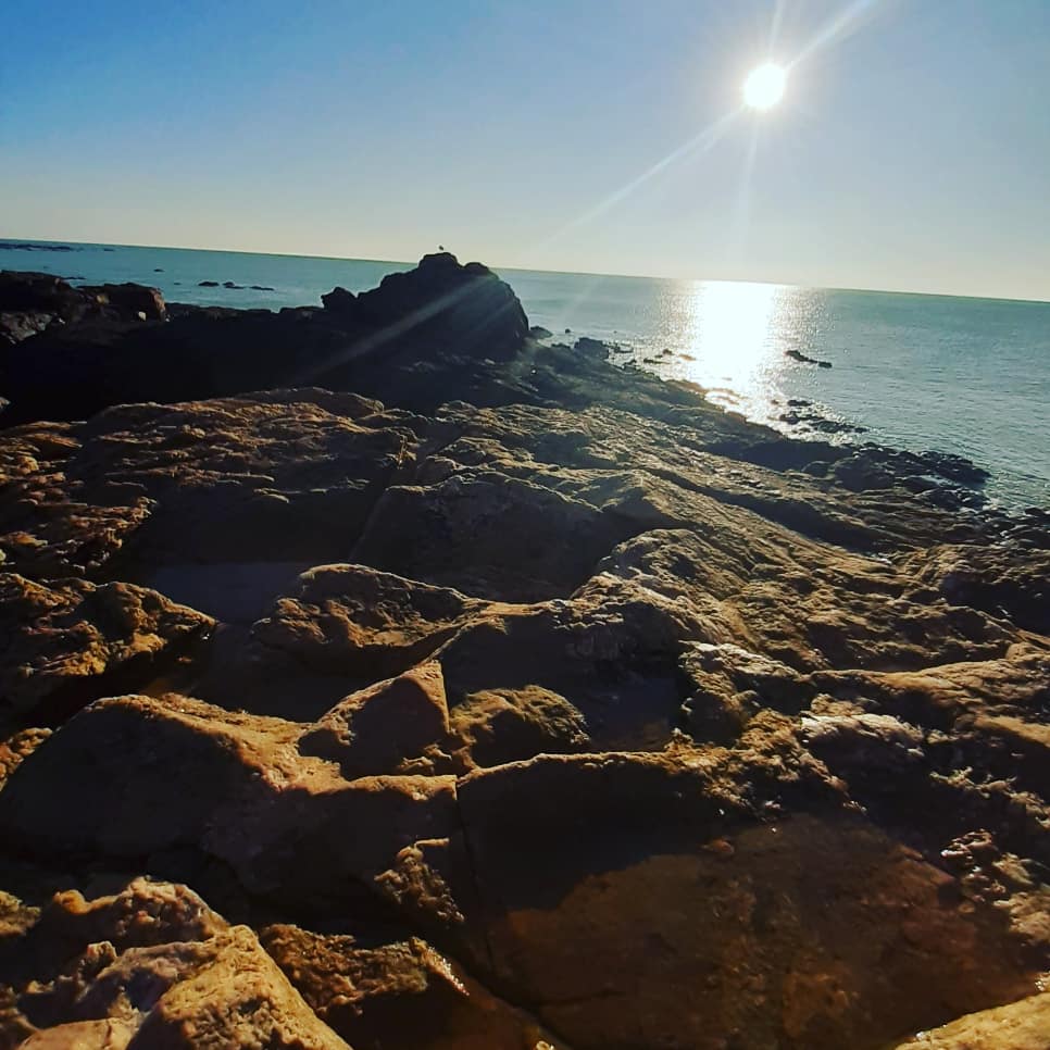 Photo n° 1 de l'avis de Floriane.O fait le 03/12/2019 à 15:29