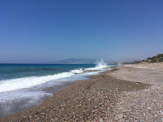 Wild beach II