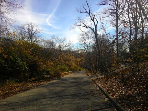 Park «Mount Storm Park», reviews and photos, 700 Lafayette Ave, Cincinnati, OH 45223, USA