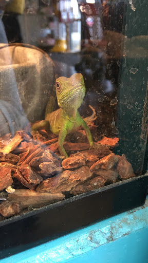 Pet Store «Pet Zone», reviews and photos, 1620 Marion-Mt Gilead Rd, Marion, OH 43302, USA