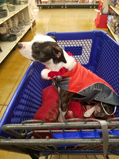 Pet Supply Store «PetSmart», reviews and photos, 8281 Troy Pike, Huber Heights, OH 45424, USA