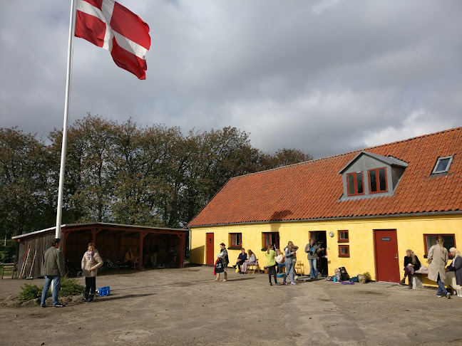 Anmeldelser af Freja Skolen - Rudolf Steiner skole i Holbæk - Skole