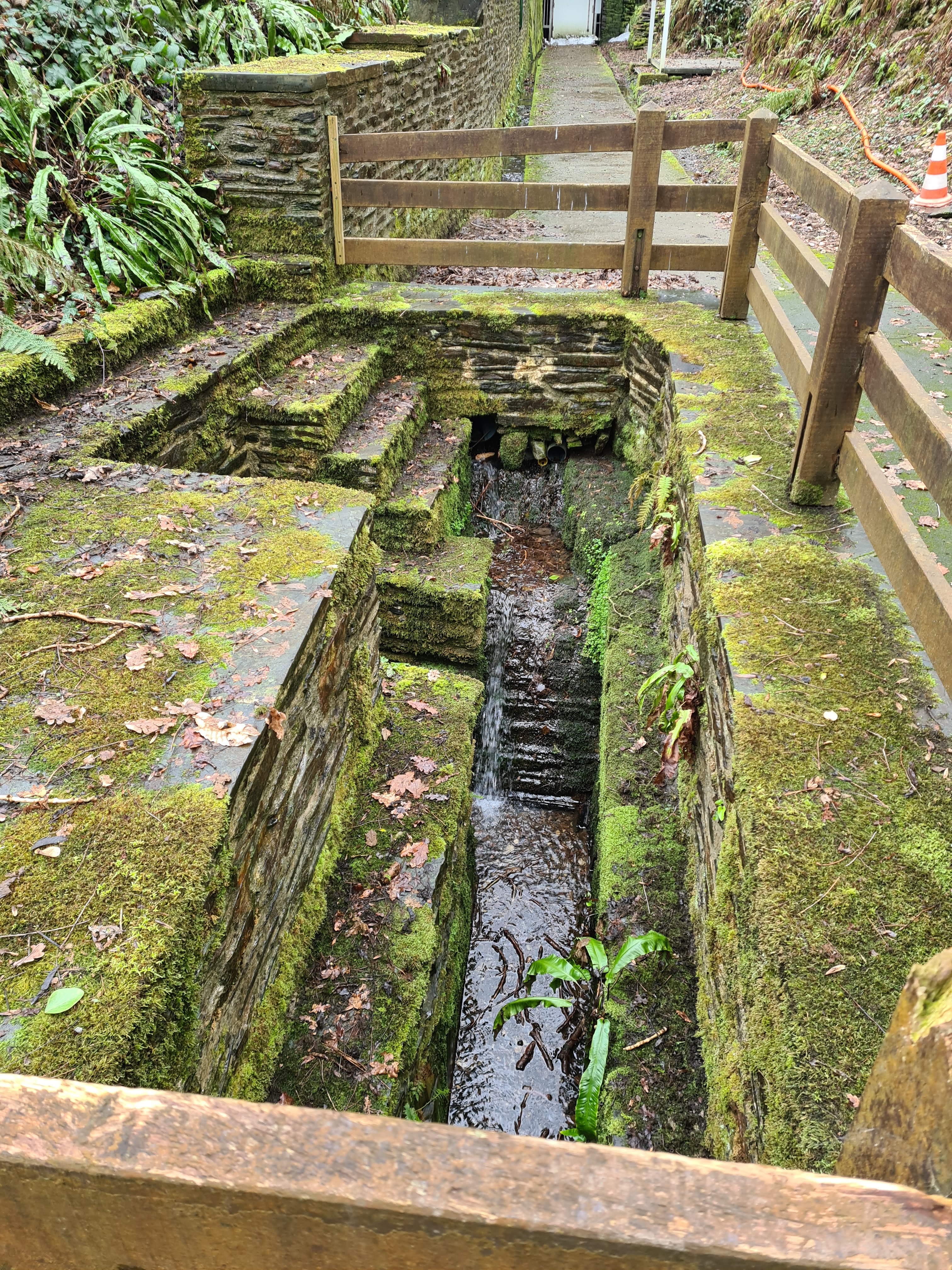 Photo n° 1 de l'avis de Melanie.a fait le 17/02/2021 à 12:01