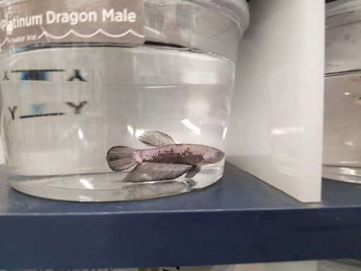 Pet Supply Store «Petco Animal Supplies», reviews and photos, 217 Oak Lee Dr #16, Ranson, WV 25438, USA