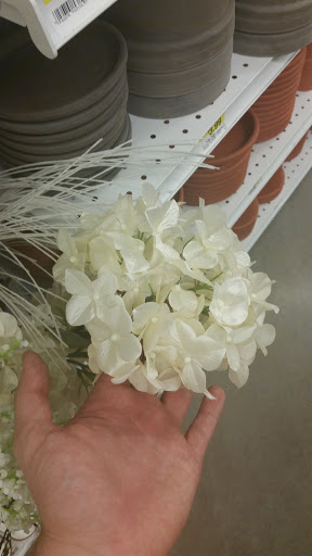 Fabric Store «Jo-Ann Fabrics and Crafts», reviews and photos, 413 E 23rd St, Panama City, FL 32405, USA