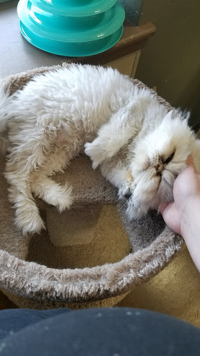 Pet Supply Store «Northern California Pet Supply and Grooming», reviews and photos, 1580 Nursery Way, McKinleyville, CA 95519, USA