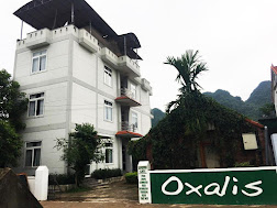 Oxalis Home