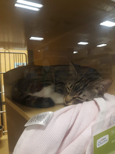 Pet Supply Store «PetSmart», reviews and photos, 971 Norland Ave, Chambersburg, PA 17201, USA
