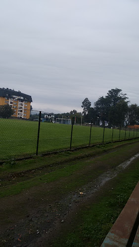 Estadio Municipal Matías Vidal Pérez - Campo de fútbol