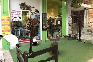 PETSHOP -ΚΟΜΜΩΤΗΡΙΟ ΚΑΤΟΙΚΙΔΙΩΝ -ΚΥΝΟΔΙΑΤΡΟΦΙΚΗ image