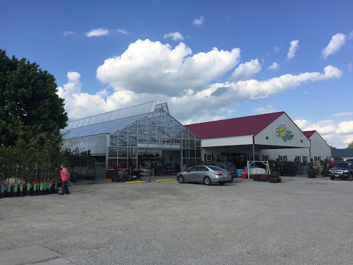 Bobs Market & Greenhouses Inc image 3