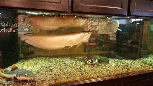 Pet Store «Miles of Exotics», reviews and photos, 8350 N Broadway, Kansas City, MO 64118, USA
