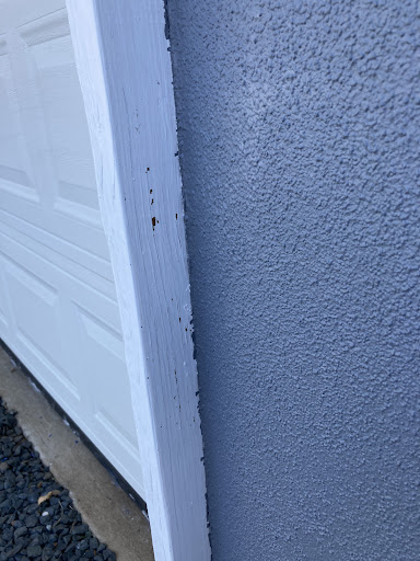 Painter «Tex Painting», reviews and photos, 1212 Guadalupe St, Austin, TX 78701, USA