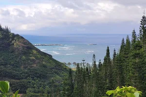 Hauʻula Forest Reserve image