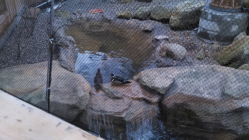 Natural History Museum «Cleveland Museum of Natural History», reviews and photos, 1 Wade Oval Dr, Cleveland, OH 44106, USA