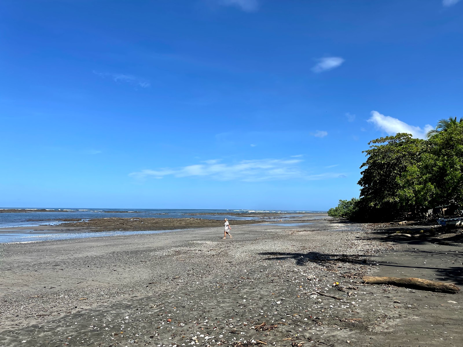 Foto di Lagarto Beach zona selvaggia