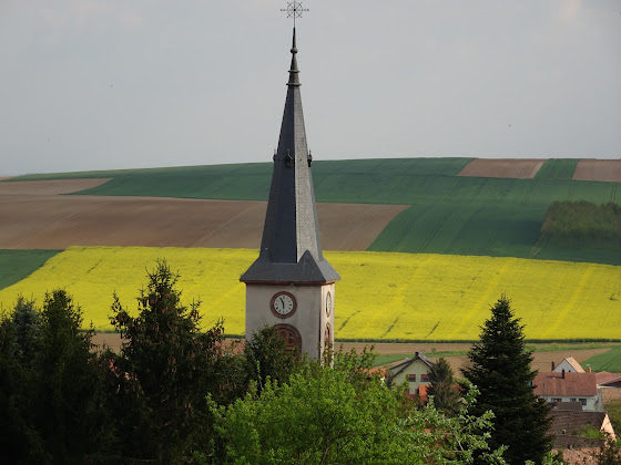Extérieur Chambre d'hôtes MAISON D'HÔTES DU MONT 67350 Morschwiller