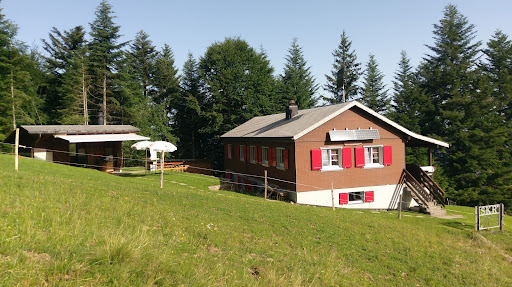 site_photo4