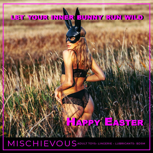 Adult Entertainment Store «Mischievous», reviews and photos, 559 300 W, Salt Lake City, UT 84101, USA