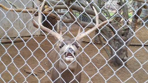 Wildlife Rescue Service «Southwest Wildlife Conservation Center», reviews and photos, 27026 N 156th St, Scottsdale, AZ 85262, USA