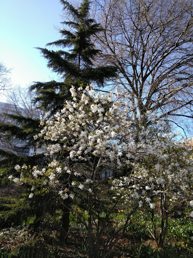 National Park «Hamilton Grange National Memorial», reviews and photos, 414 W 141st St, New York, NY 10031, USA