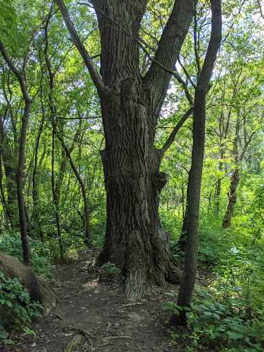 Nature Preserve «Dodge Nature Center», reviews and photos, 365 Marie Ave W, West St Paul, MN 55118, USA