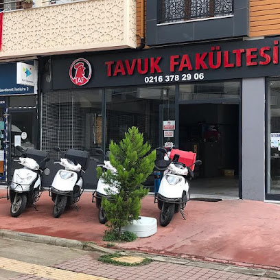 Tavuk Fakültesi Kurtköy