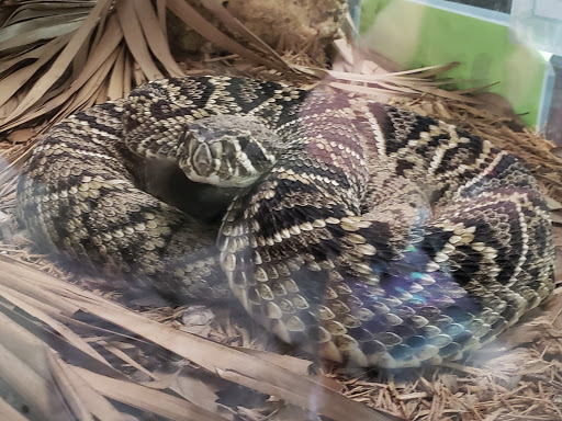 Nature Preserve «Calusa Nature Center & Planetarium», reviews and photos, 3450 Ortiz Ave, Fort Myers, FL 33905, USA