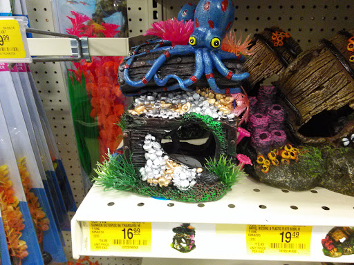 Pet Supply Store «PetSmart», reviews and photos, 211 W Alexander St A, Plant City, FL 33563, USA