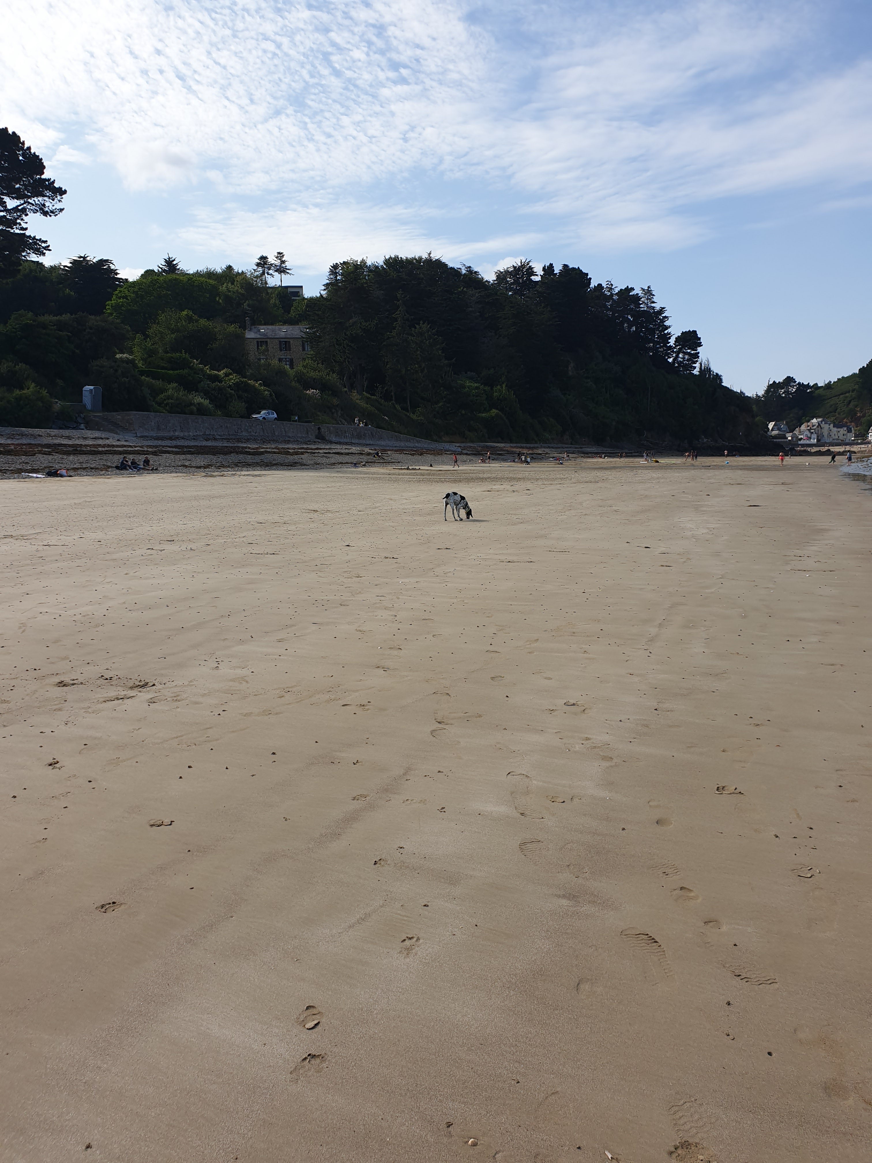 Photo n° 2 de l'avis de Céline.r fait le 26/07/2019 à 11:40