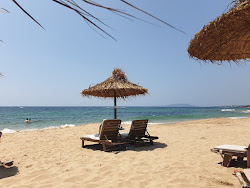 Petrochori beach'in fotoğrafı biraz temiz temizlik seviyesi ile