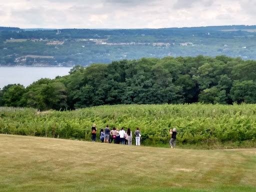 Tour Agency «Experience! The Finger Lakes», reviews and photos, 501 Warren Rd, Ithaca, NY 14850, USA