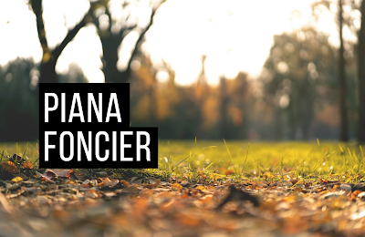 Piana Foncier à Mulhouse