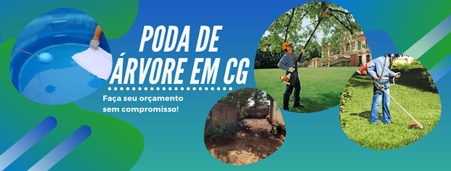 Poda de arvore em campo grande ms - Campo Grande