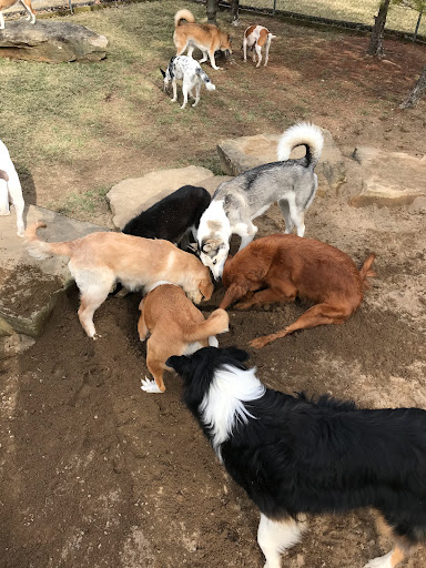 Pet Store «Happy, Clean and Smart», reviews and photos, 5700 W Kilgore Ave, Muncie, IN 47304, USA