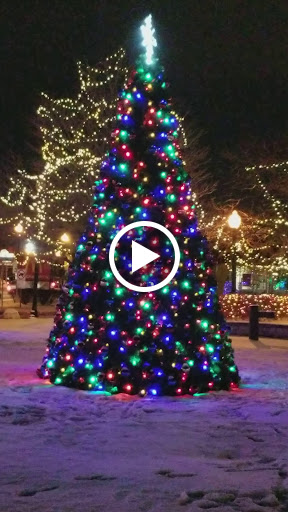 Grocery Store «KD Market», reviews and photos, 9500 Irving Park Rd, Schiller Park, IL 60176, USA