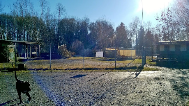 Rezensionen über Canima Hundeschule & Hundebetreuung in Zürich - Hundeschule