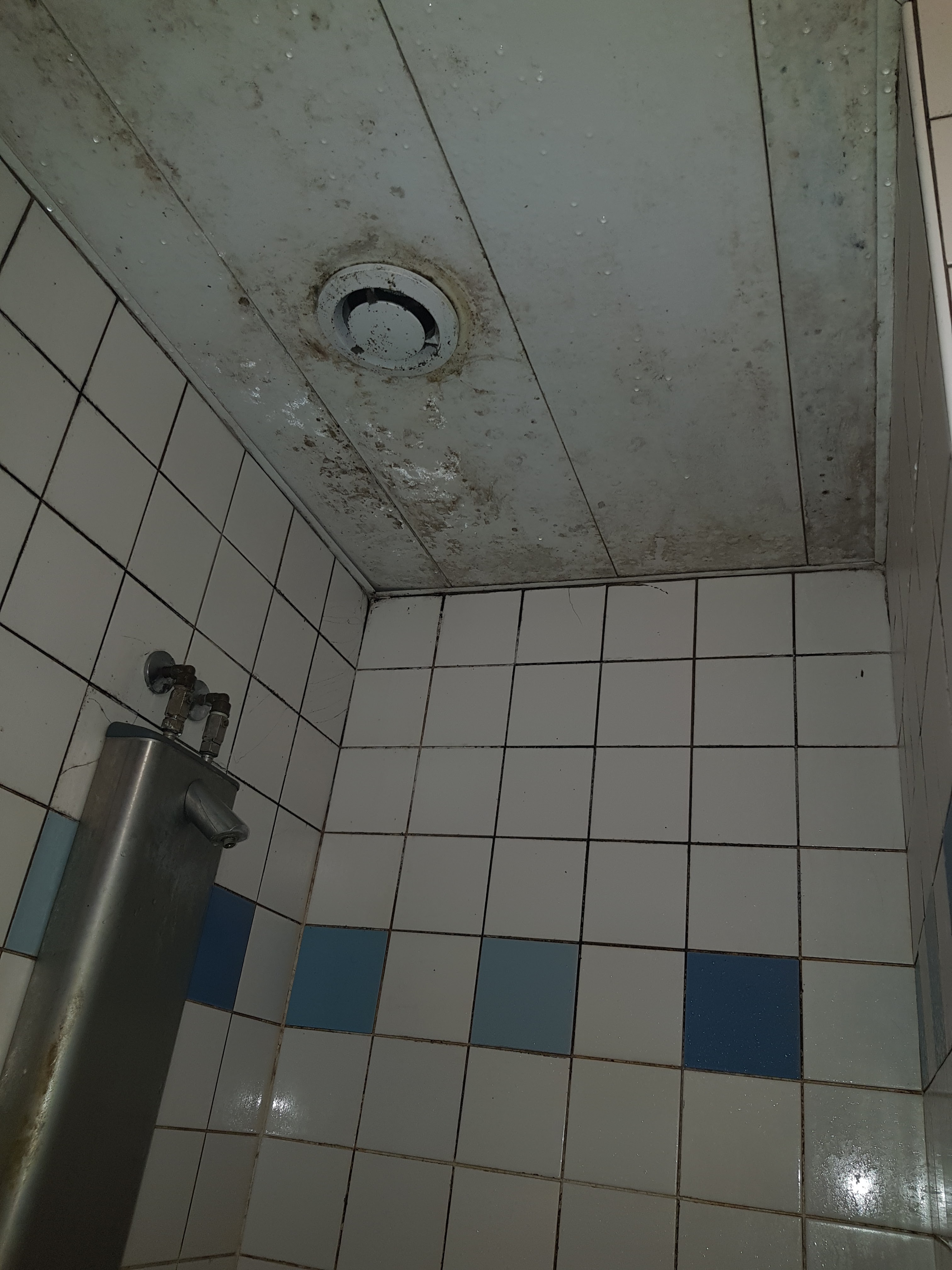 Photo n° 3 de l'avis de olarte5ro. fait le 05/10/2019 à 08:52