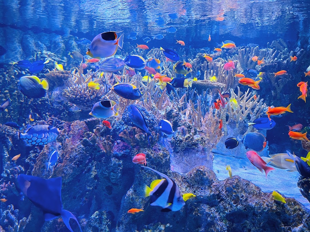 New England Aquarium Ocean Center