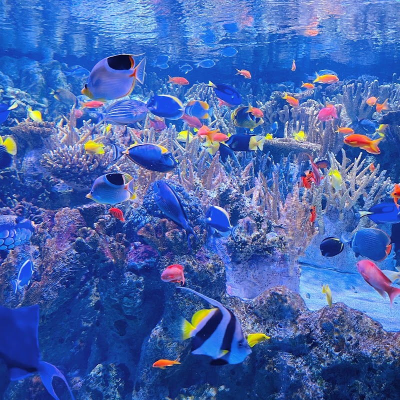 New England Aquarium Ocean Center