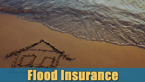 Insurance Agency «Kapasu Insurance Services Inc.», reviews and photos