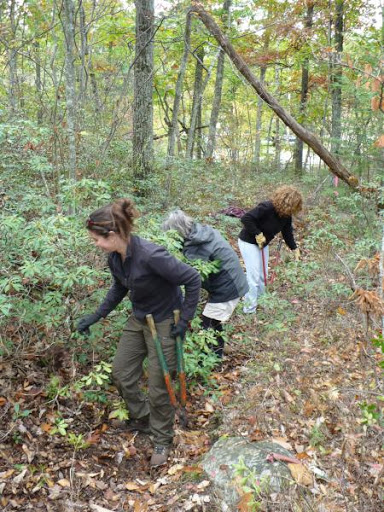 Nature Preserve «Whittemore Wildlife Sanctuary», reviews and photos, 7 Rockaway Rd, Whitehouse Station, NJ 08889, USA